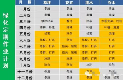物業(yè)環(huán)境外包管控要點(diǎn) 純干貨，助力服務(wù)評(píng)估與優(yōu)化